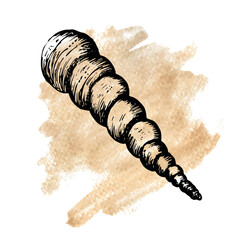 Seashell sketch line art on watercolor smudge sea illustration isolated on white background