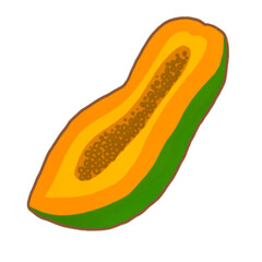 papaya isolated on white