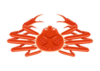 Snow crab isolated in white