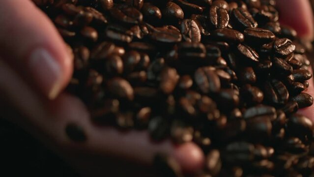 Caucasian Hands Scooping Coffee Beans In Coffee Bean Pile, Slow Motion. Shot with ARRI Alexa in ArriRaw at 120 fps and exported 23.98 fps, QuickTime Apple ProRes 422 HQ.
