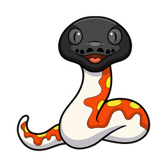 Cute red blood python cartoon