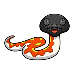 Cute red blood python cartoon