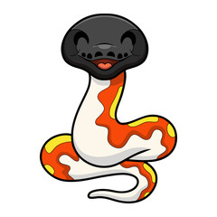 Cute red blood python cartoon