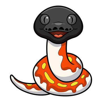 Cute red blood python cartoon
