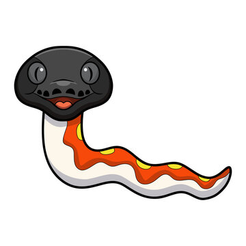Cute red blood python cartoon