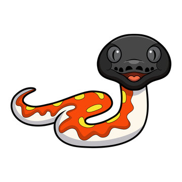 Cute red blood python cartoon