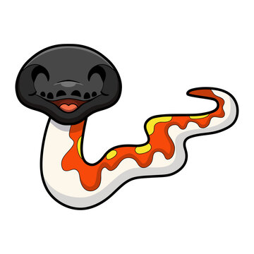 Cute red blood python cartoon