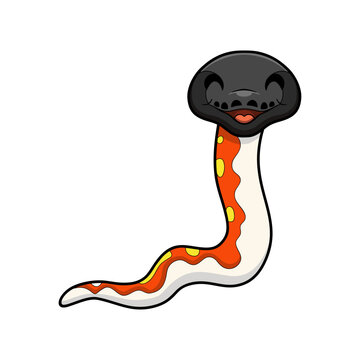 Cute red blood python cartoon
