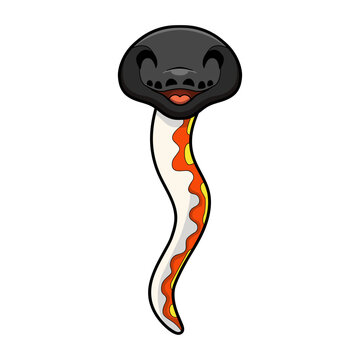 Cute red blood python cartoon