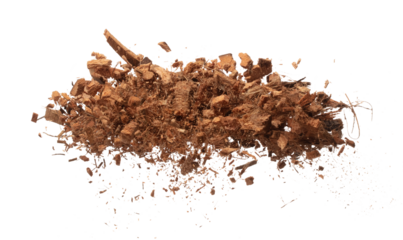 Coconut peel husk flying explosion, coconut chopped medium M size abstract fall down garden. Coconut shell peel fertilizer splash throwing in Air. White background Isolated high speed shutter, freeze
