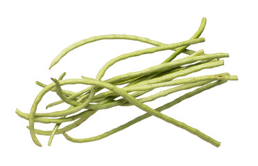 Long yard bean fly explosion, many group green long beans for food cooking float in air. Raw long yard bean throw in mid air as food material. White background isolated high speed freeze motion
