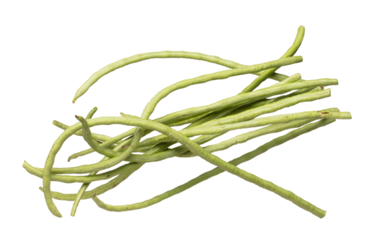 Long yard bean fly explosion, many group green long beans for food cooking float in air. Raw long yard bean throw in mid air as food material. White background isolated high speed freeze motion