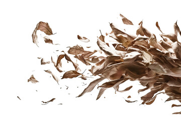 A photograph of dry brown leaves being blown off by the gusts