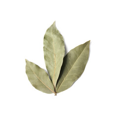 Aromatic bay leaves on white background, top view