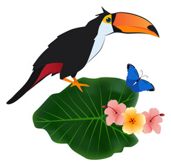 Obraz na płótnie Canvas Toucan sit on tropical plant. Exotic bird in nature