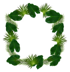 Tropical leaves frame. Green exotic plants square border