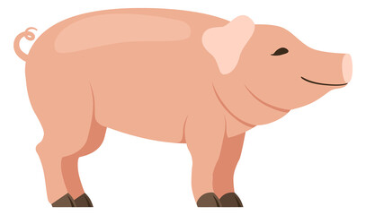 Funny pig icon. Cartoon farm domestic animal