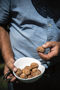 person holding a bowl of walnuts
