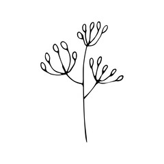 simple floral ornament