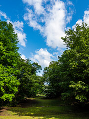 Obraz premium 里山から見る初夏の晴れた空