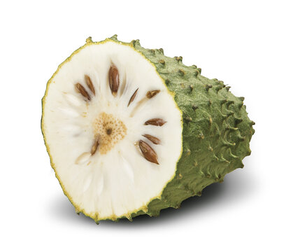 Sour sop, Prickly Custard Apple (Annona muricata L.) Treatment of cancer png