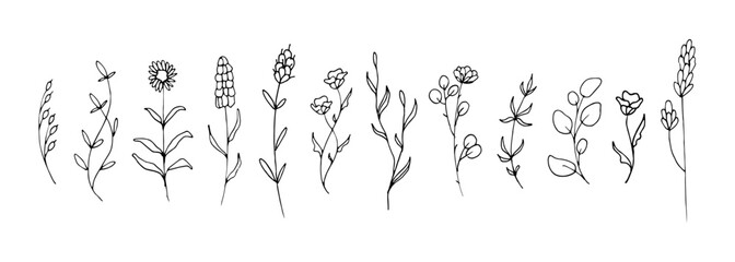 Set of floral hand drawn illustration