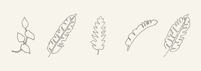 Collection of tropical leaf hand drawn illustration