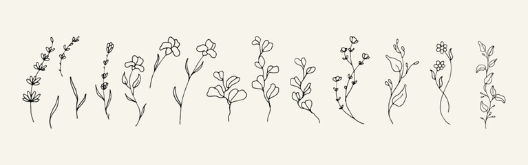 Bundle of minimalist floral hand drawn illustration