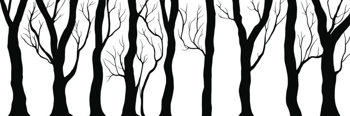 Silhouettes of trees, tree trunks and branches isolated on white background, natural background, banner