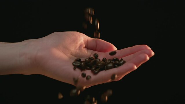 Caucasian Hand Catching Falling Coffee Beans, Slow Motion. Shot with ARRI Alexa in ArriRaw at 120 fps and exported 23.98 fps,  QuickTime Apple ProRes 422 HQ.