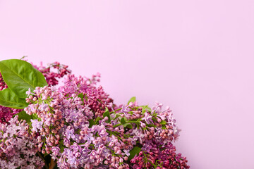 Lilac twigs on color background