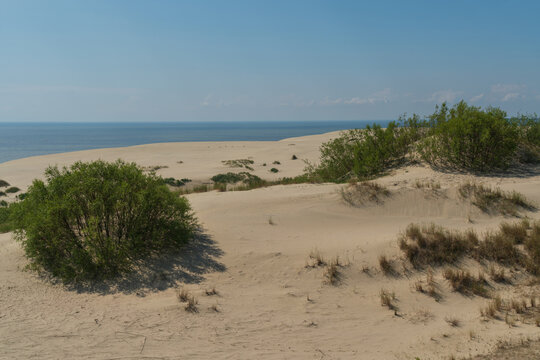 View of Staroderevenskaya dune from the height of Efa (Walnut Dune) and the Baltic Sea in the background on a sunny summer day, Curonian Spit, Kaliningrad region, Russia