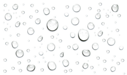 Fototapeta Pure clear water drops realistic or realistic drops on an isolated transparent background. Png transparency obraz
