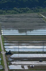 初夏の伊吹山麓を走るEF210牽引の貨物列車 （東海道本線 近江長岡 - 柏原, 2023年5月）