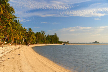 Incredible sandy beach on the ocean. With palm trees and no people. Sunset photo