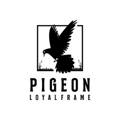 Pigeon logo in frame for loyal
