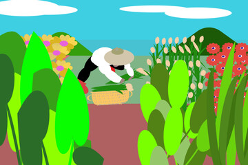 Gardeners are picking flowers, placing them on baskets