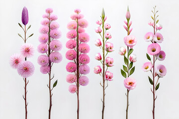 Collection of beautiful pink wax flower twigs created with Generative AI technology. - obrazy, fototapety, plakaty