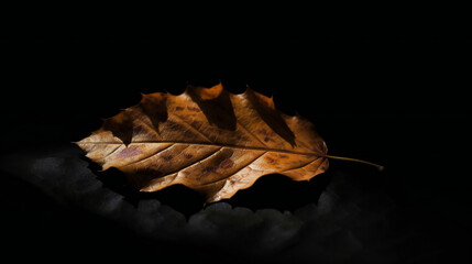 dry leaf on black background. generative ai