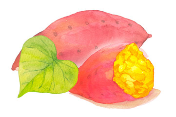 水彩で描いた美味しそうなほくほく焼き芋イラスト素材