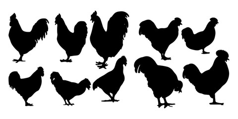 hen silhouettes © Dian