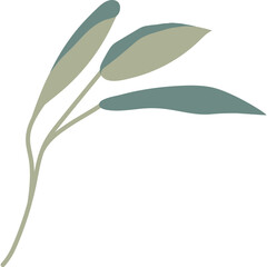 Branch Leaves Design Element