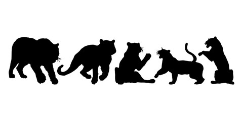 tiger silhouettes