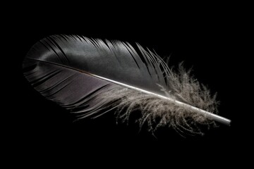 design for Bird feather on a black, isolated background. Beautiful, detailed image of a feather, close up. The concept of lightness, tenderness, beauty. generative ai