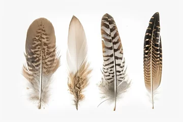 Keuken foto achterwand Veren design for Set of five different feathers on isolated white background. generative ai