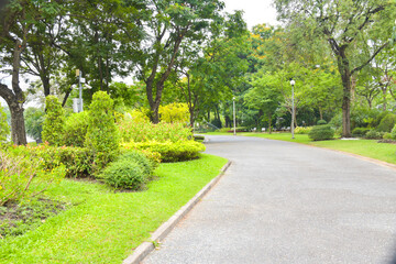 Bridges and garden paths in the park of Bangkok, Thailand