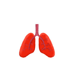 An isolated lungs drawing by chalk or oil pastels. Concept of lung sticker, organ drawing and painting icon. Transparency. lung donation. Body part study, anatomy.