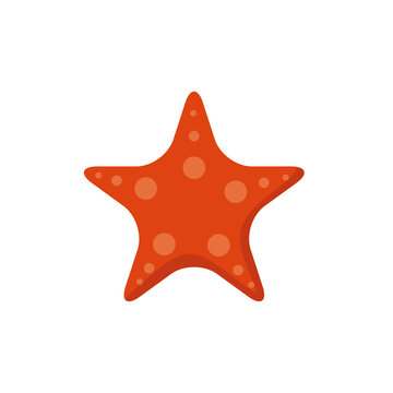 Starfish isolated, tropical beach and vacations concept
