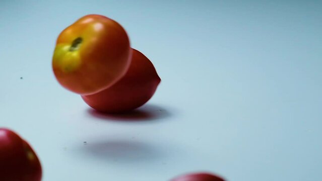 Slow Motion Shot of Tomatoes of Different Colours Falling, Bouncing and Rolling onto a White Surface untill they Stop Moving