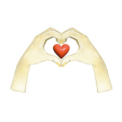 Obraz premium Watercolor female hands making sign Heart by fingers, isolated on white background. Love concept.